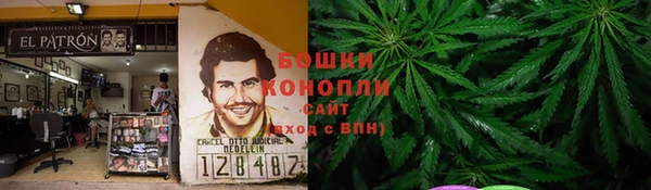 сатива Абдулино