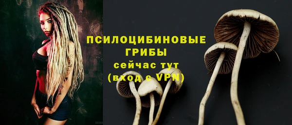 прущие крисы Алексеевка