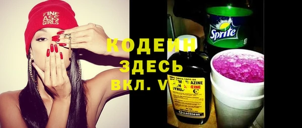 индика Абинск