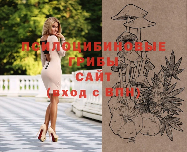 прущие крисы Алексеевка