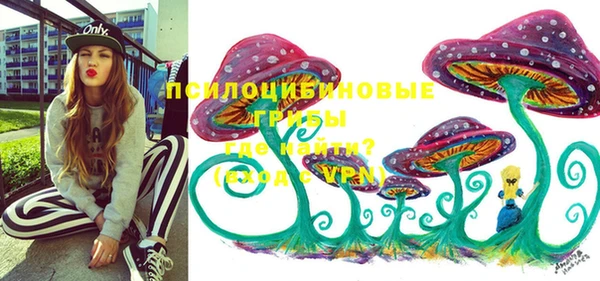 сатива Абдулино