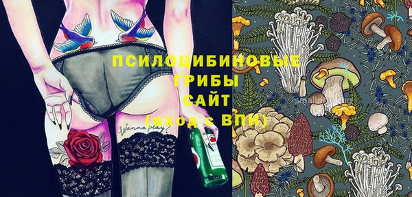 индика Абинск