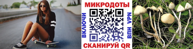 hydra зеркало  Опочка  Псилоцибиновые грибы ЛСД 
